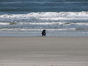 St. Augustine - Jan 2012 113